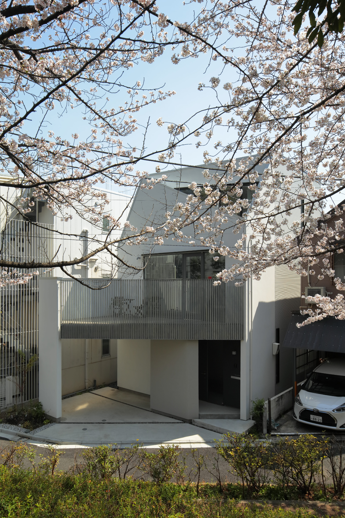 double terrace house in cherry blossom